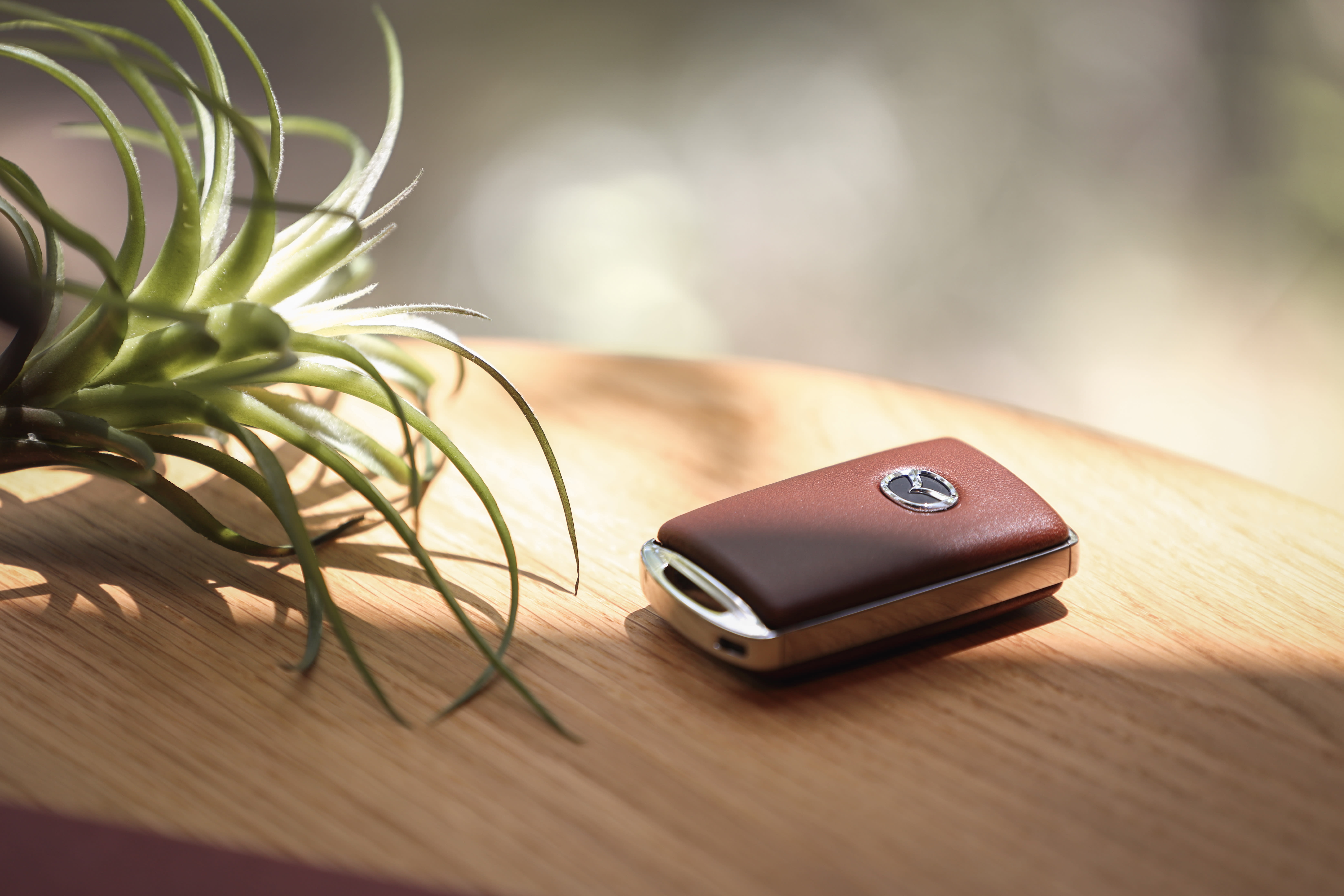 Accessoires Mazda2 Mazda Belux